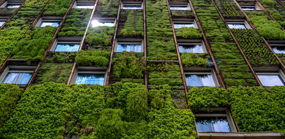 Deloitte to include sustainable delivery clause in client contracts